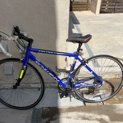 Bicycle - Schwinn Roadbike Carbon Fork