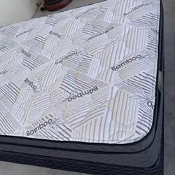 White Bamboo Queen Size  Set 