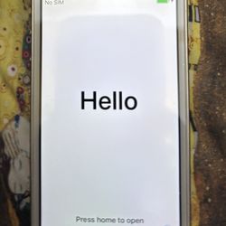 iPhone 5s T-Mobile/metro