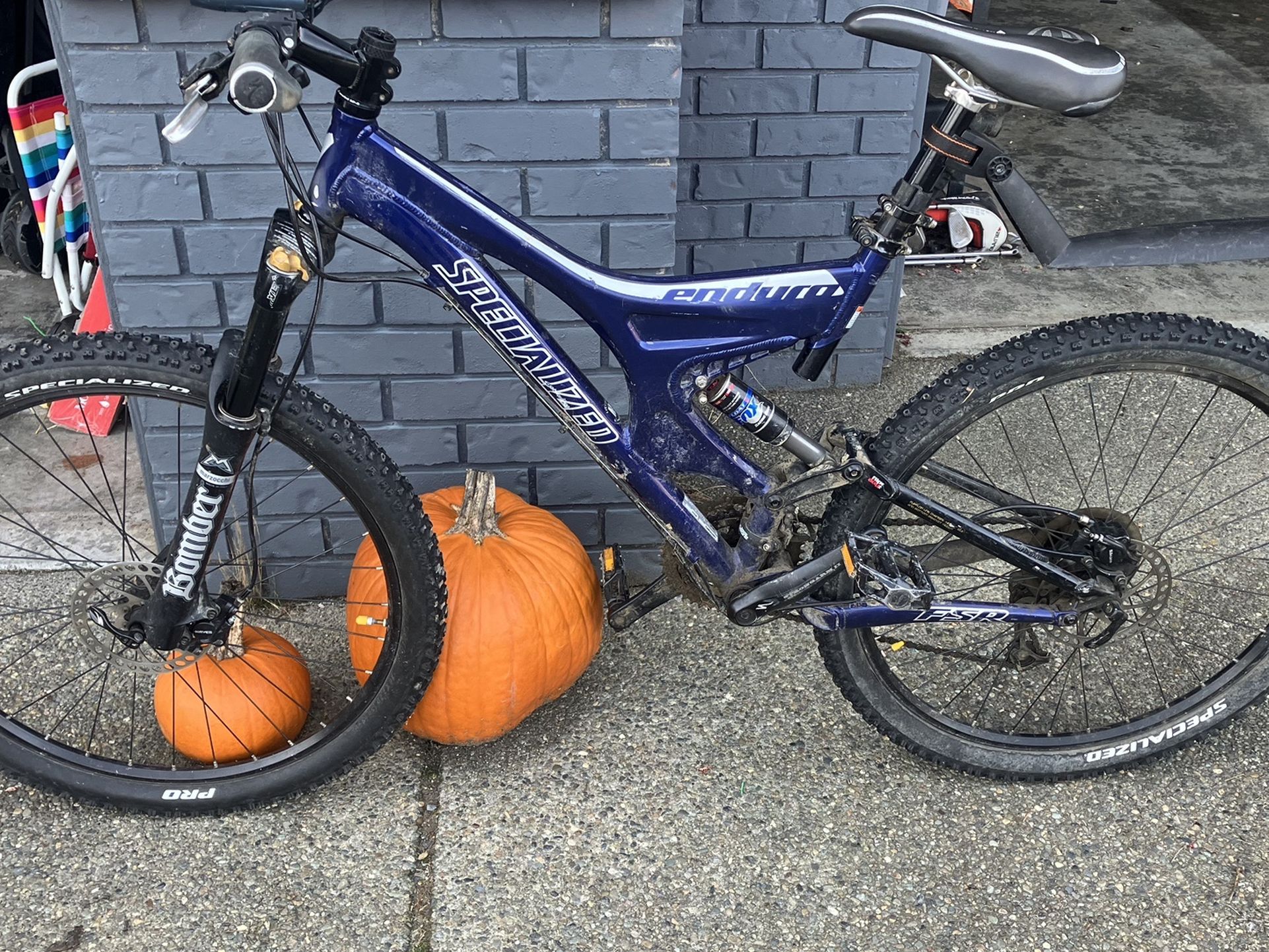 Specialized Eduro Mountain Bike