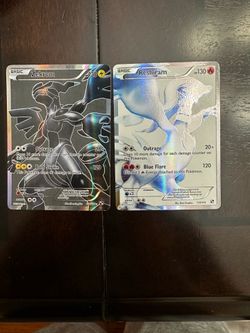 Black and white zekrom and reshiram duo