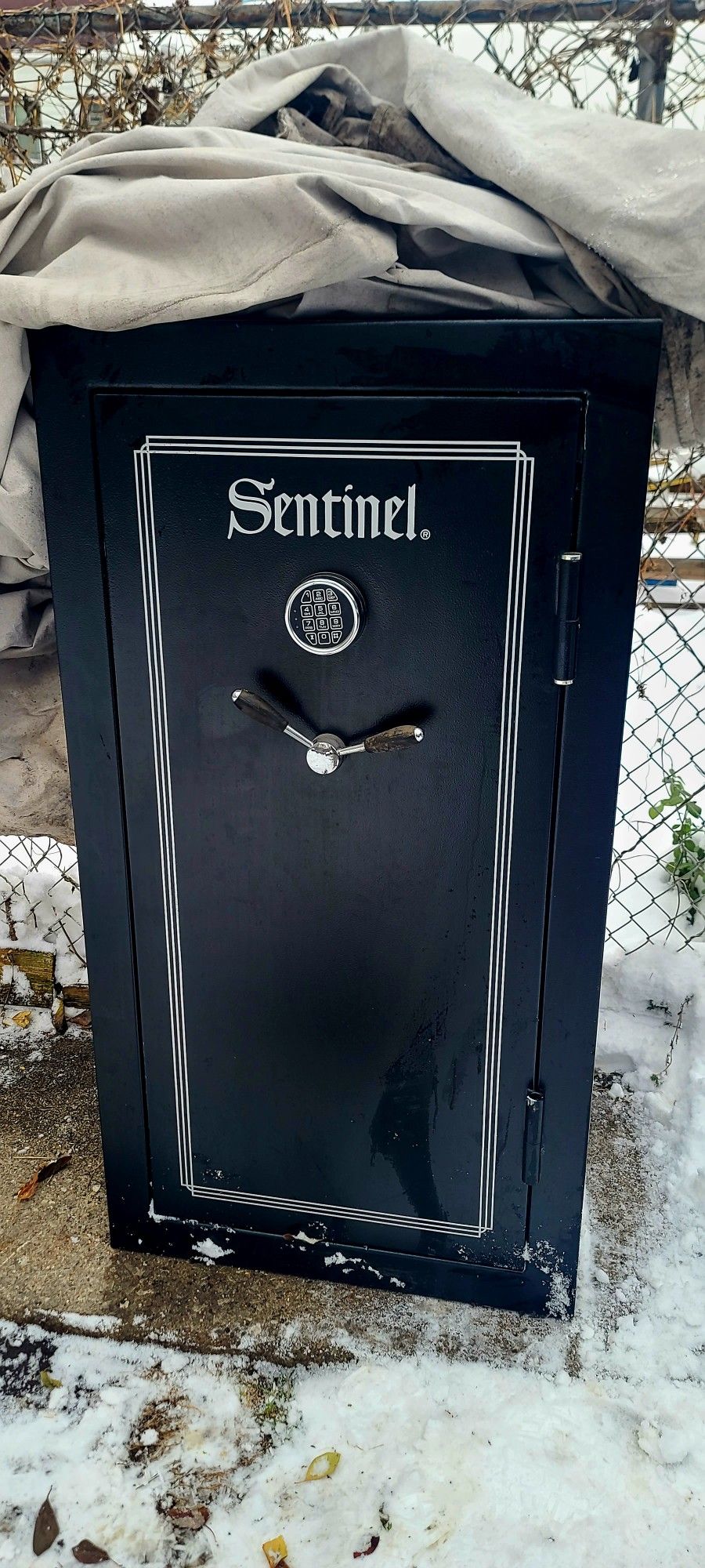 WTT for cordless 2-stage snow blower w/batteries and charger. 