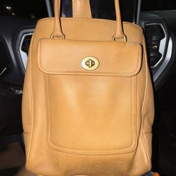 Vintage Penelope Coach Bag 