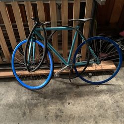 Custom Fixie