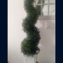 TOPIARY TREE