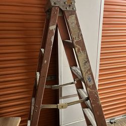 6 Foot Ladder 