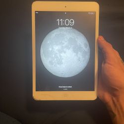 No Box, iPad Mini 2