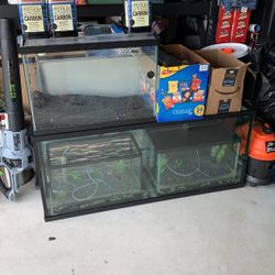 Fish Tank 