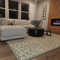 Martha Stewart carpet 8 × 10