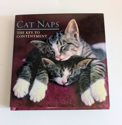 Book Cat Naps: The Key to Contentment Book