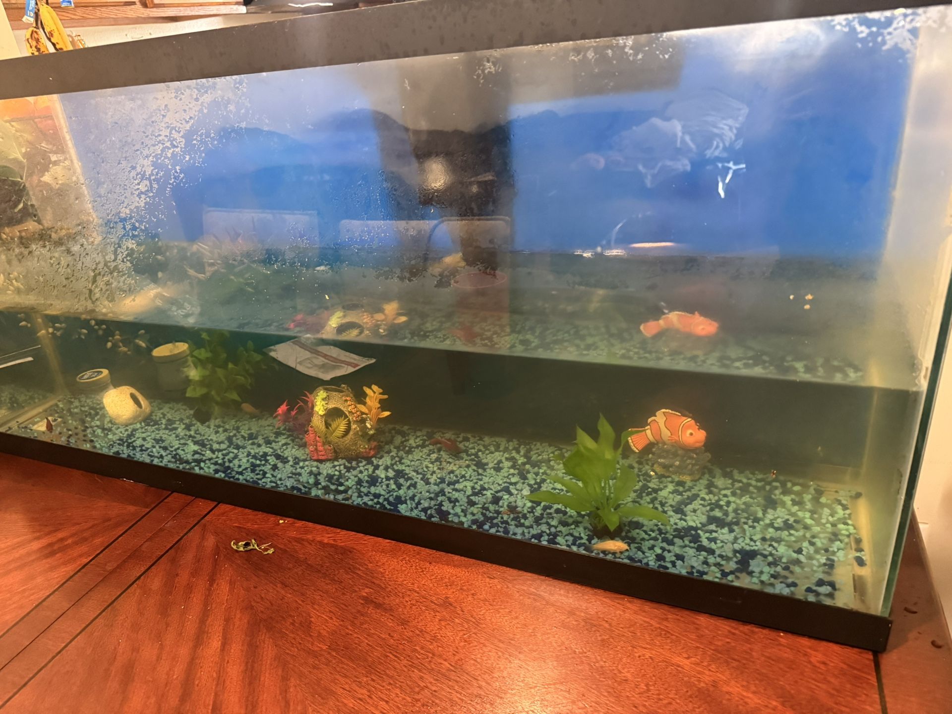 75 Gallons Aquarium With Filter