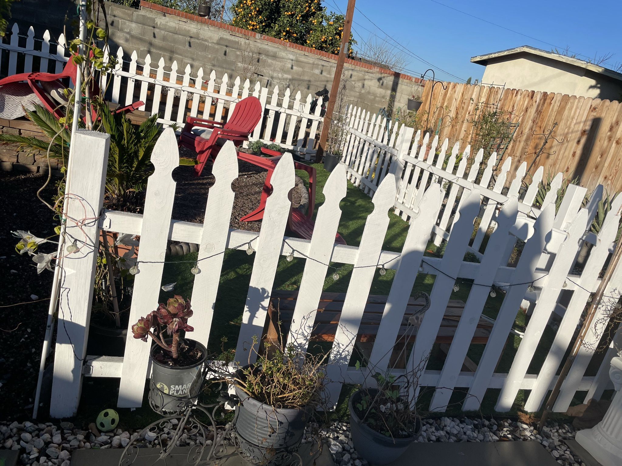 Cedar French Gothic Fence Picket 1 in. x 4 in. x 3-1/2 ft