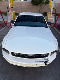 2008 Mustang Deluxe Coupe 2D