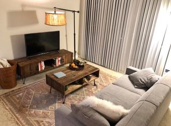 Living Spaces Sleeper Sofa ✨