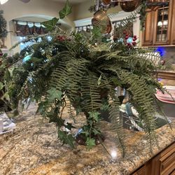 Decorative Fern Arrangement