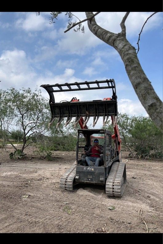 Land cleaning work is being done and trees are being removed.