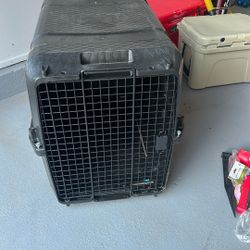 Dog Kennel