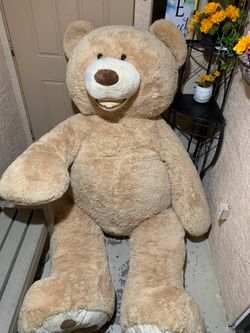 Oso  🐻 De. Peluche 🧸