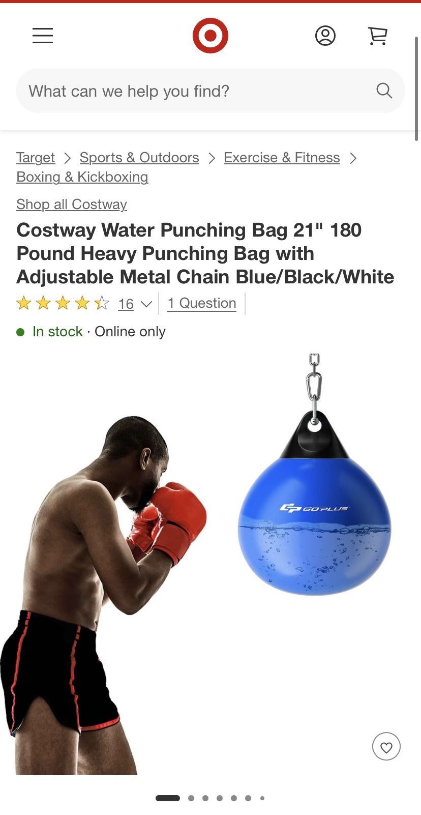 Water Punching Bag
