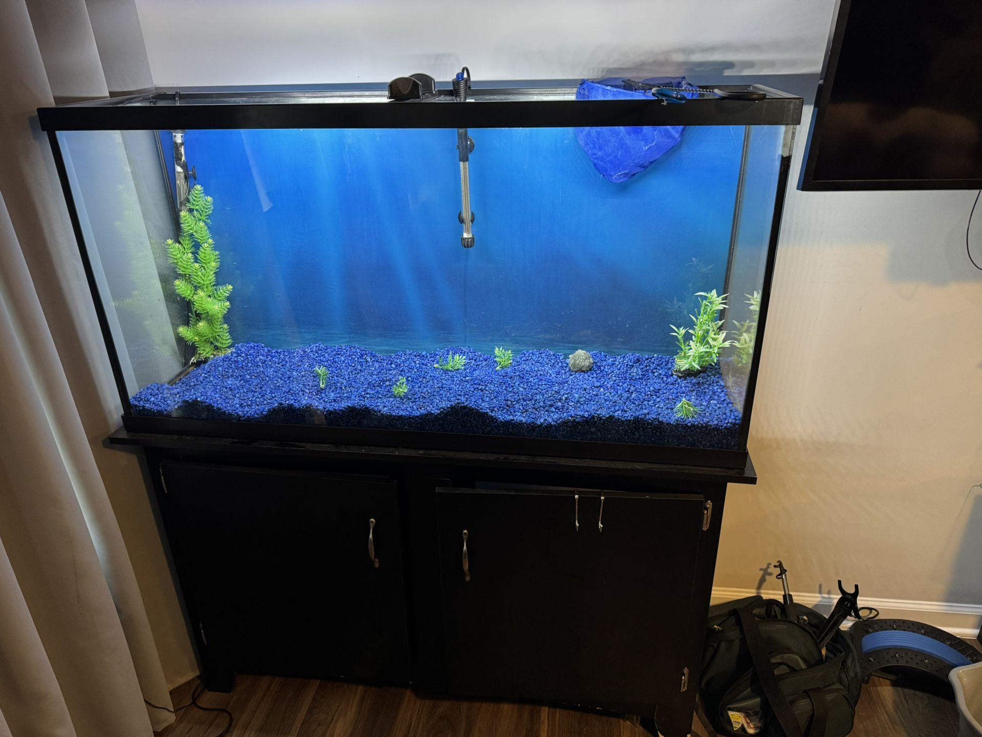 60 Gallon Tank