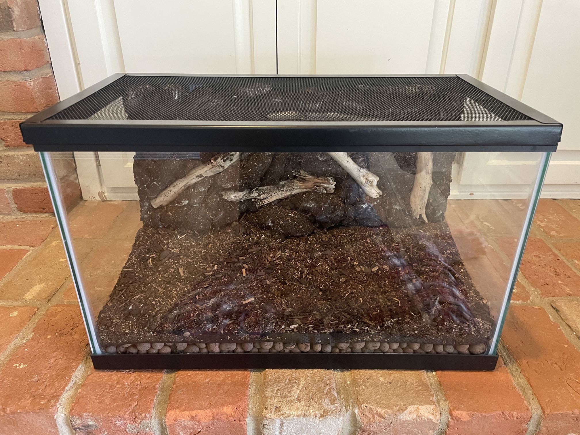 10 Gallon Custom Animal Tank $15