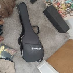 12 String Guitar 