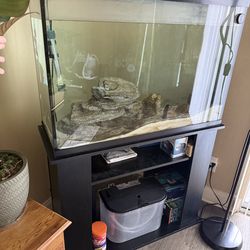 40 gal Aquarium + stand