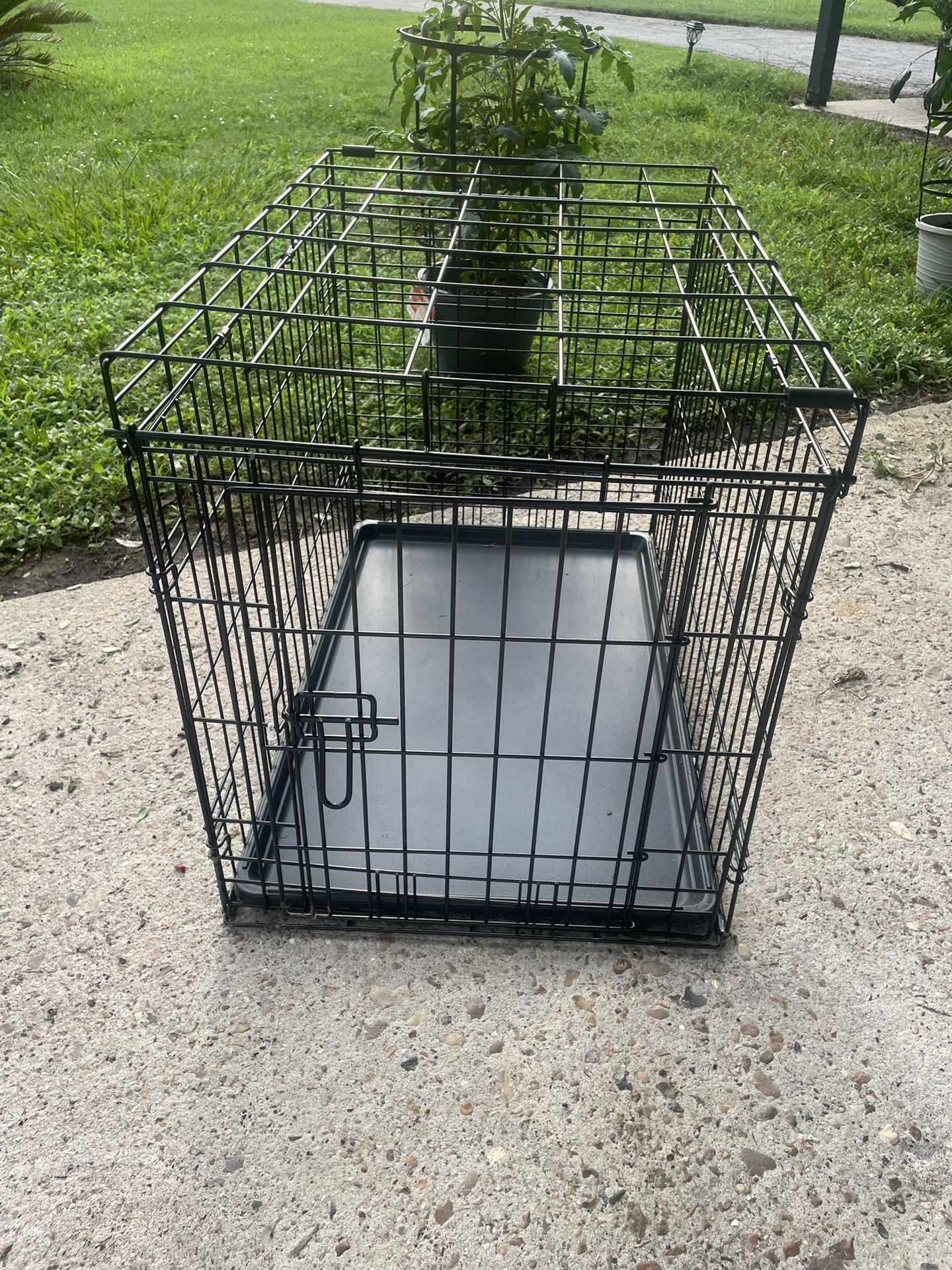 Dog Cage