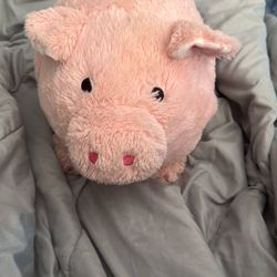 Cute Pink Piggy Bank, Large Pink Piggy Bank, Like New