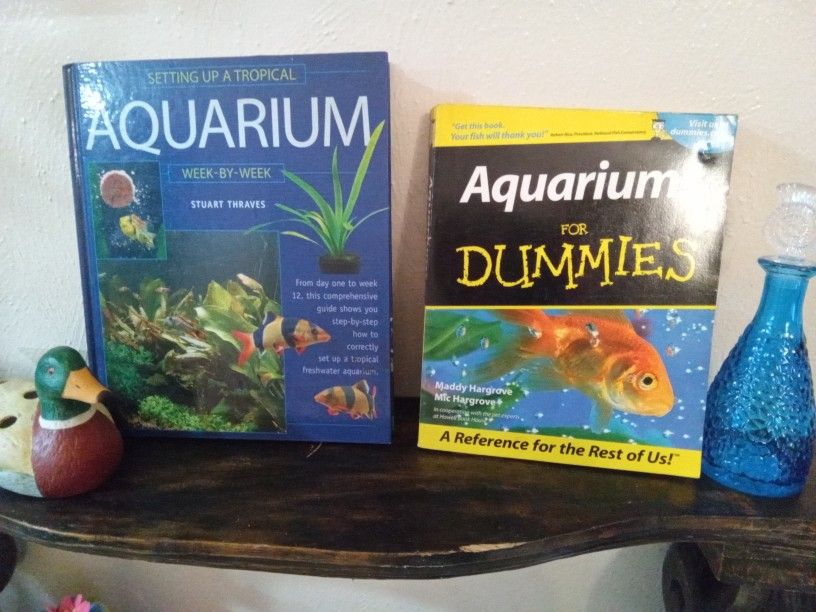 🐠 Fish Knowledge Here!🐡 Aquariums For Dummies & 12week Tropical Tank Set Up Guide 🐟