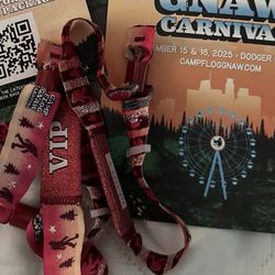 Camp Flog VIP Ticket