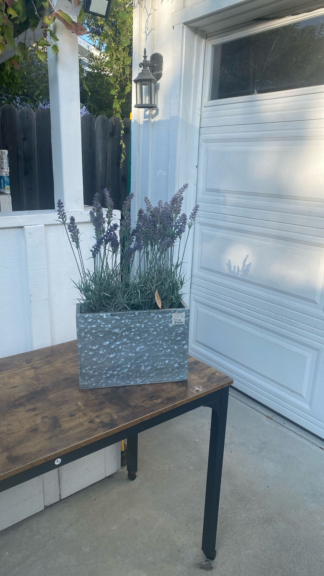 “Branch blossom” Lavender