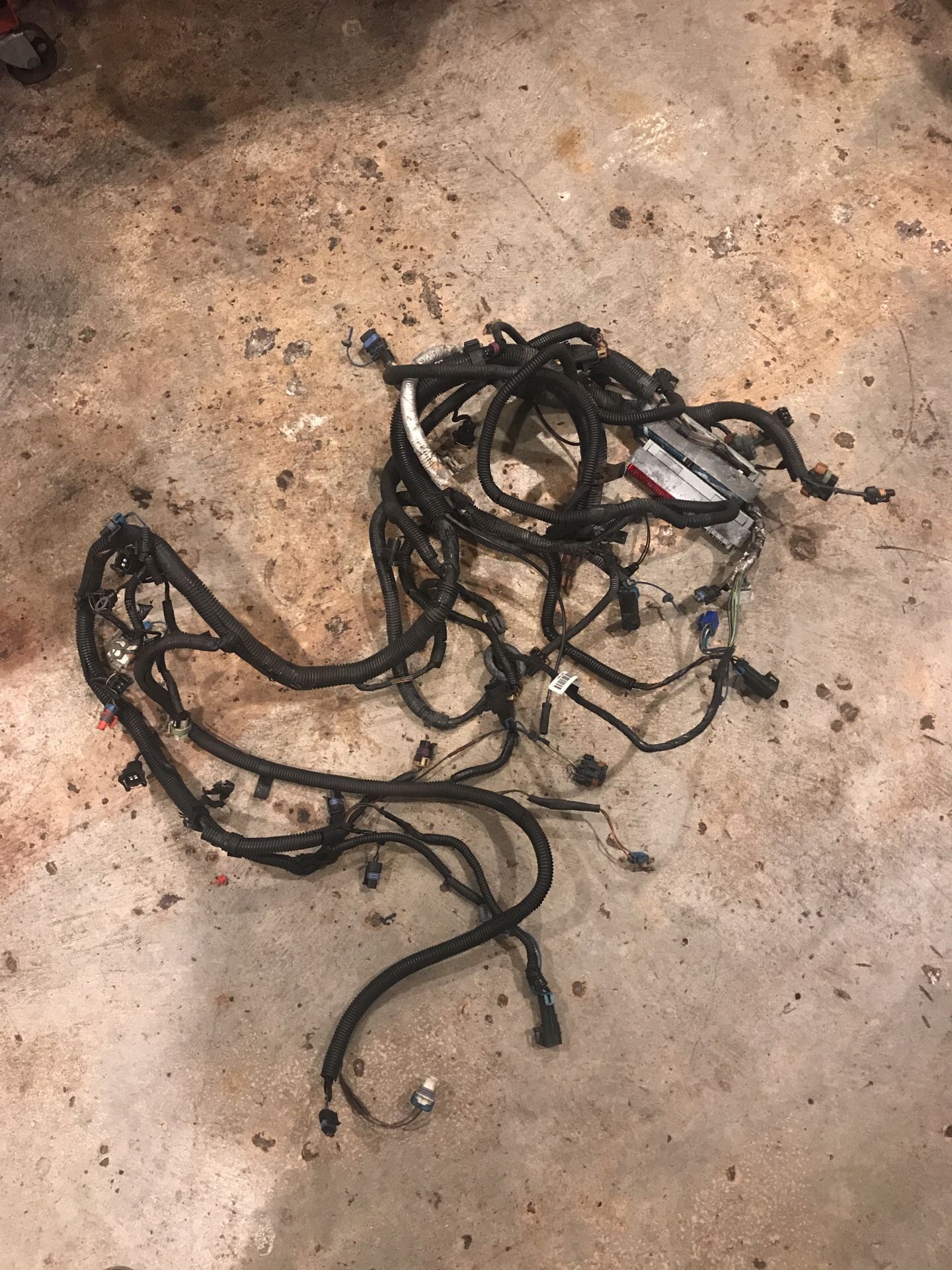 99-02 Camaro TransAm Firebird LS1/T56 wiring harness