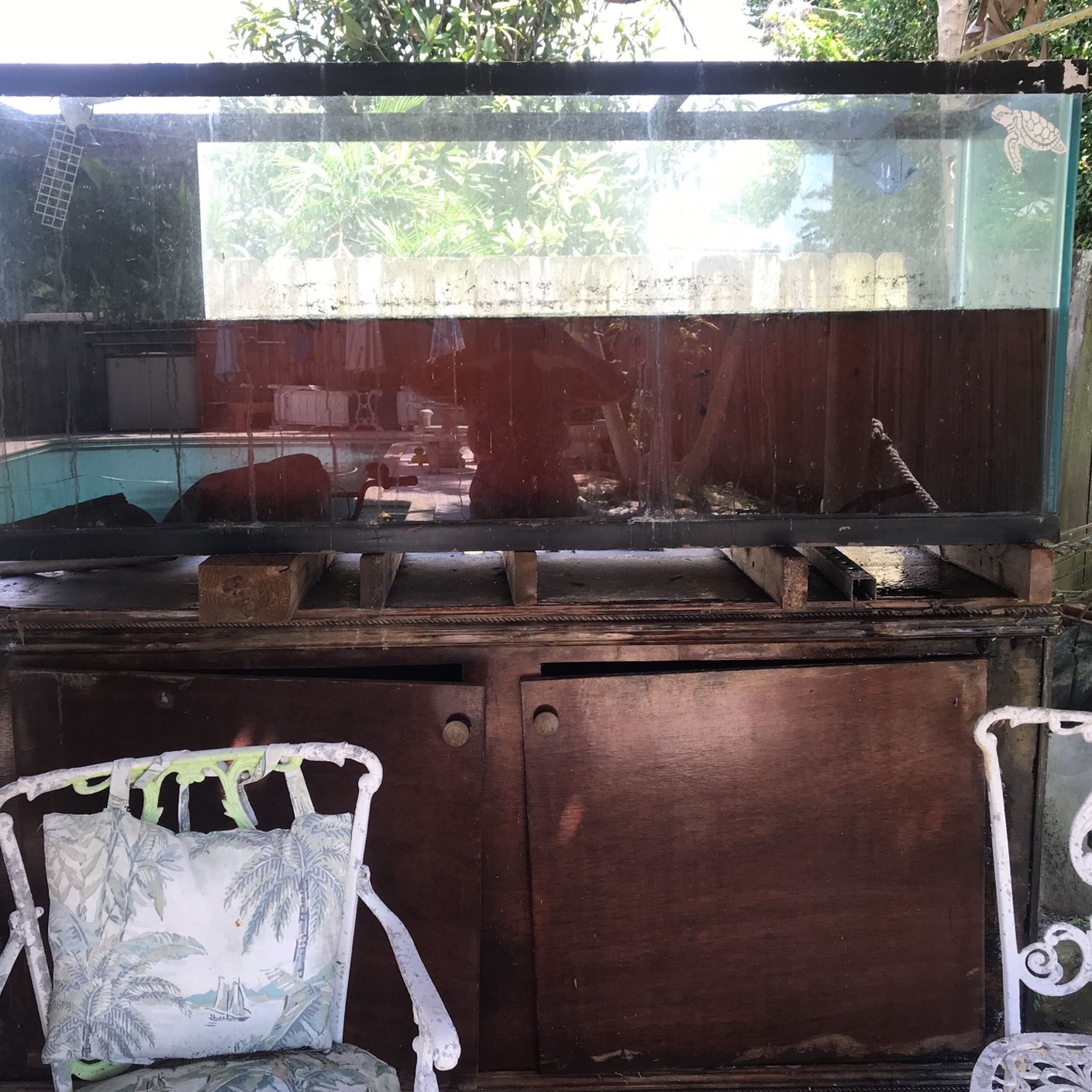 200 gallon fish tank\reptile tank