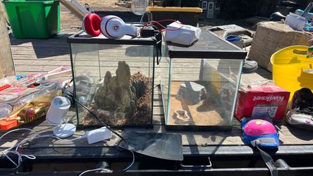 Lizard cage