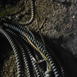 100ft Romax