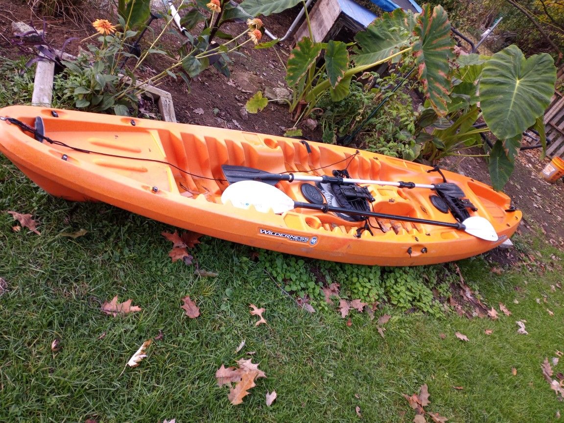 2 Person Kayak With Paddles