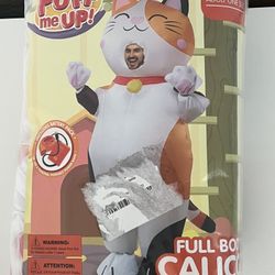 Adult Cat Costume, Includes Battery Pack, NEW
