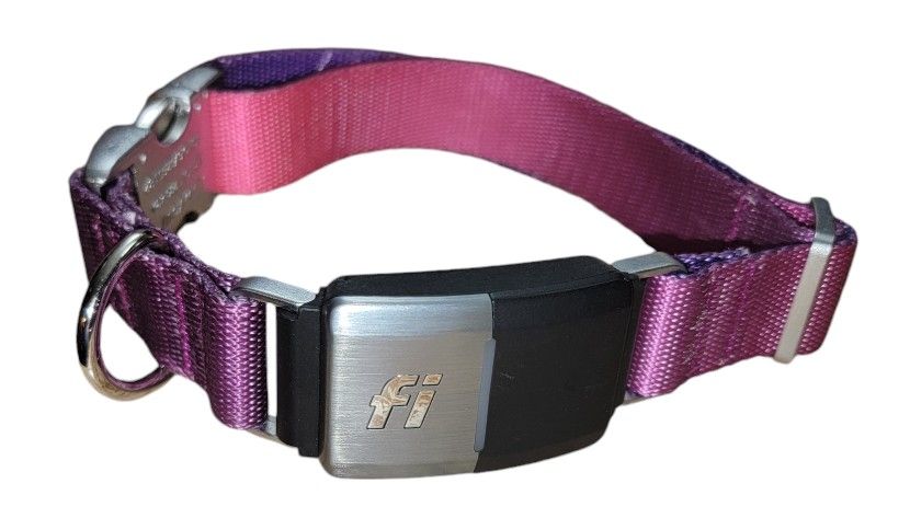Fi Series 2 Smart Dog Collar GPS Tracking