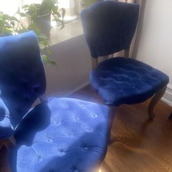 Blue Velvet Dining Chairs - Set of 2 or 4