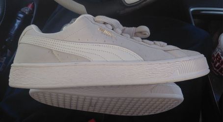 Puma