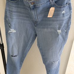Levi’s Plus Size 