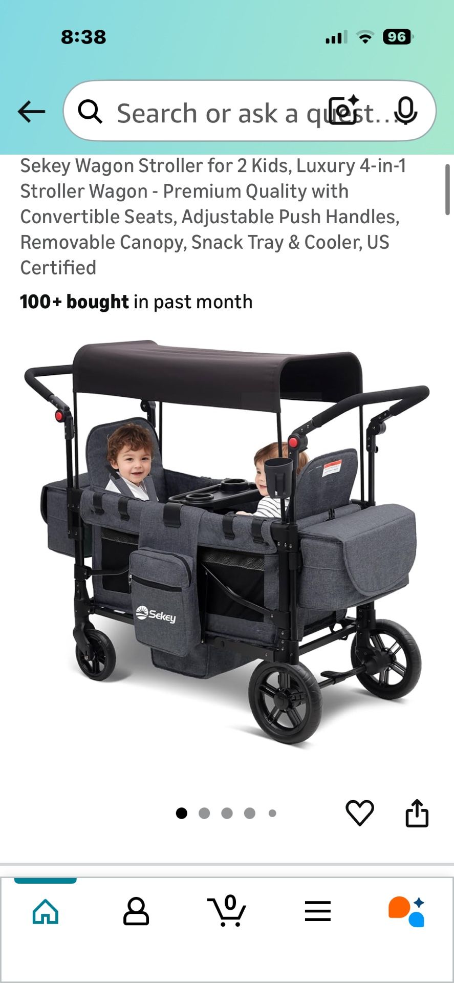 Double Stroller