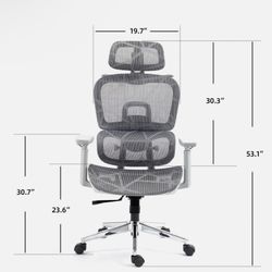 Professional Mesh Ergonomic Office Chair with Lumbar Support for Study, Office