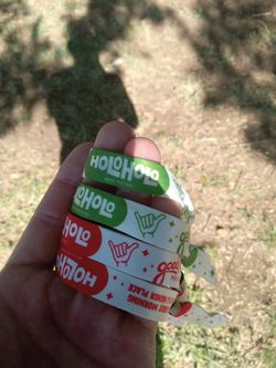 Holo Holo Music Festival Saturday and 2 Day Wristbands @ Venue NOW!!!
