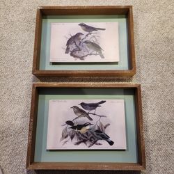 Birds On A Limb Framed 11 3/4 By 8 And 3/4 Sold As A Set Or Individual