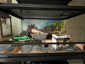 40 Gallon Reptile Terrarium Setup with Accessories