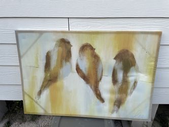 Bird Picture