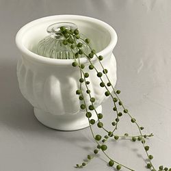 Vintage RANDALL Milk Glass Planter w/ Plant 4.5” White Ribbed Scalloped Bowl