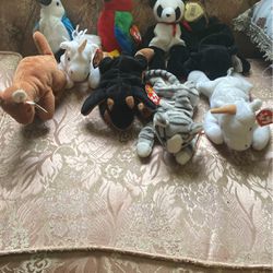 TY Beanie babies collectible